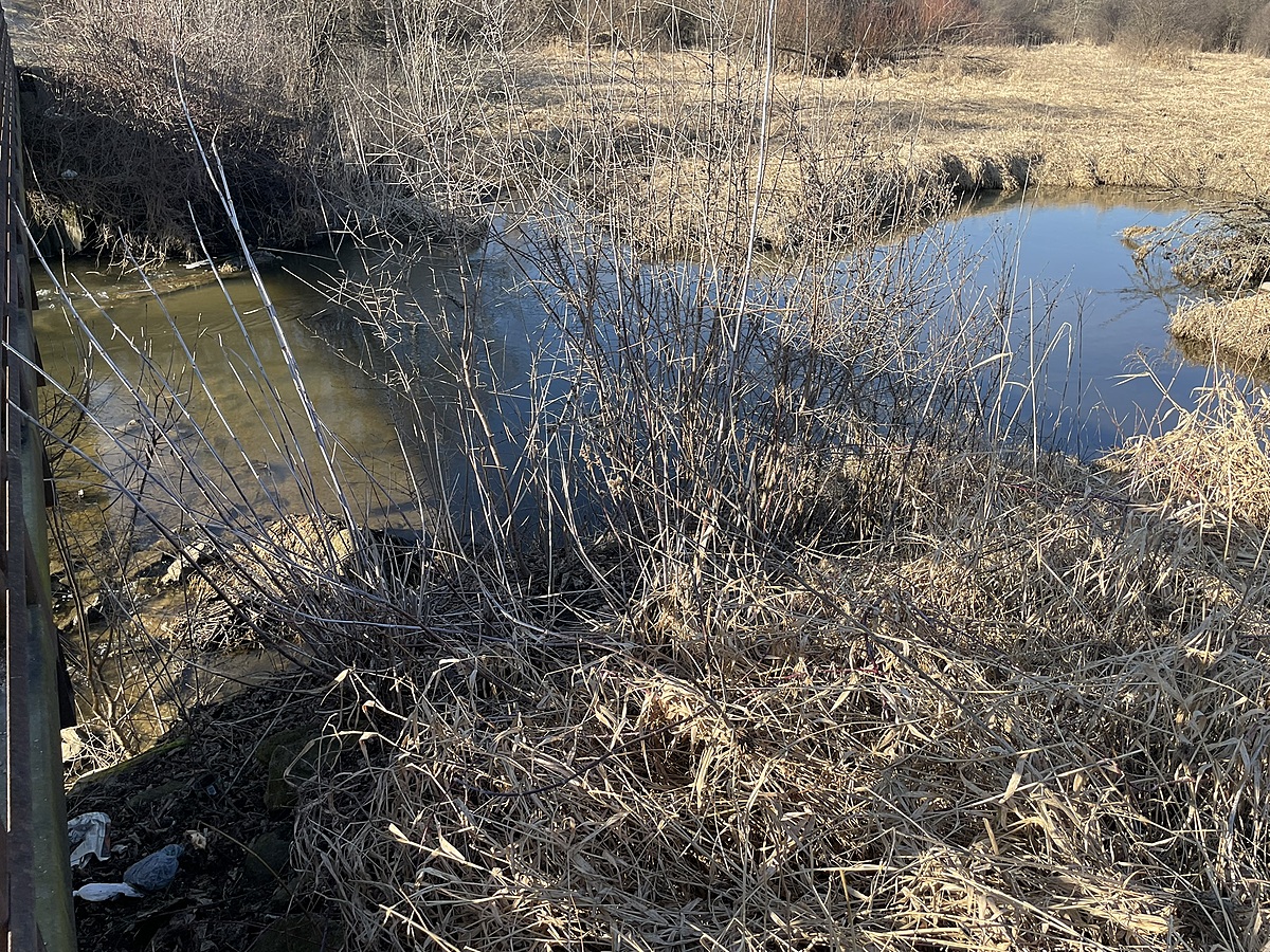 Water Quality Testing Data for Timber Ridge Forest Preserve, Klein