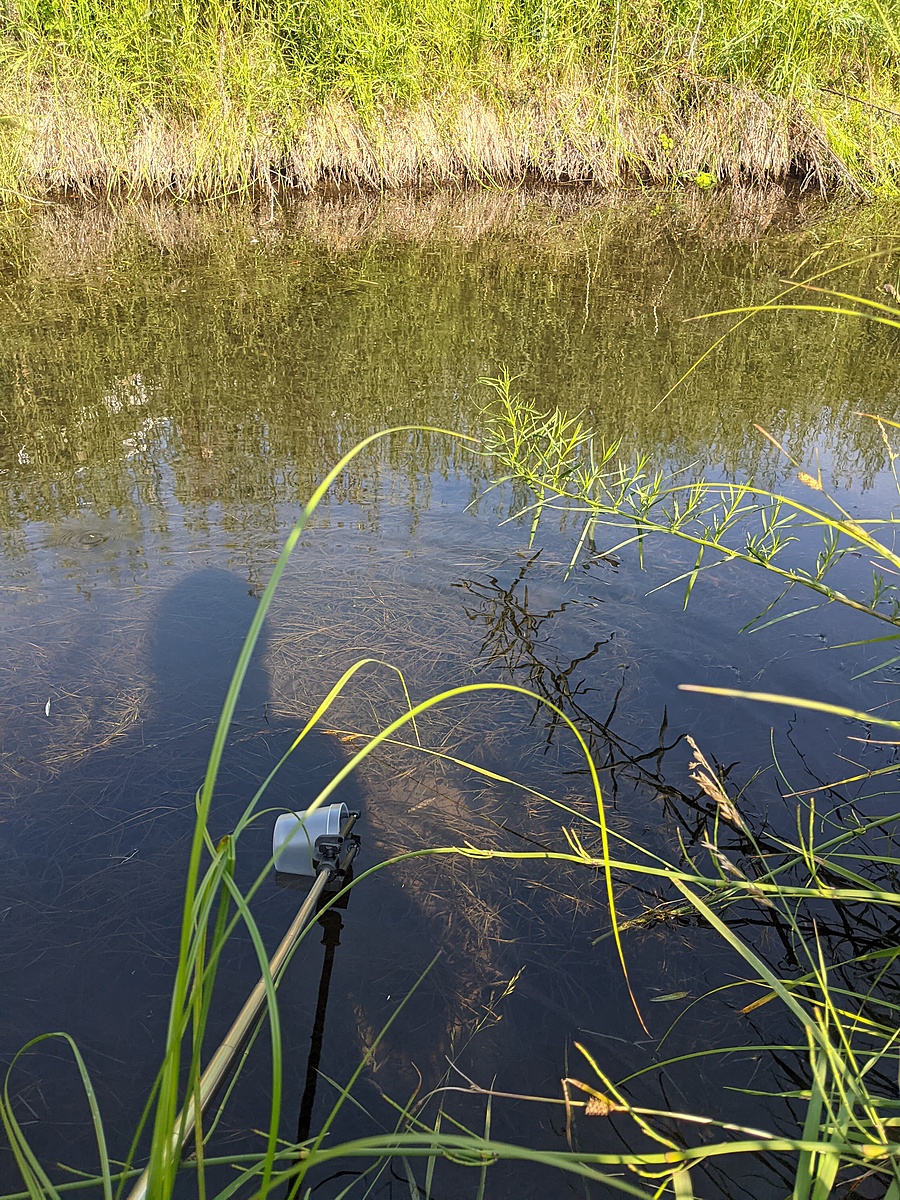 Water Quality Testing Data for Kelowna Wastewater treatment facility