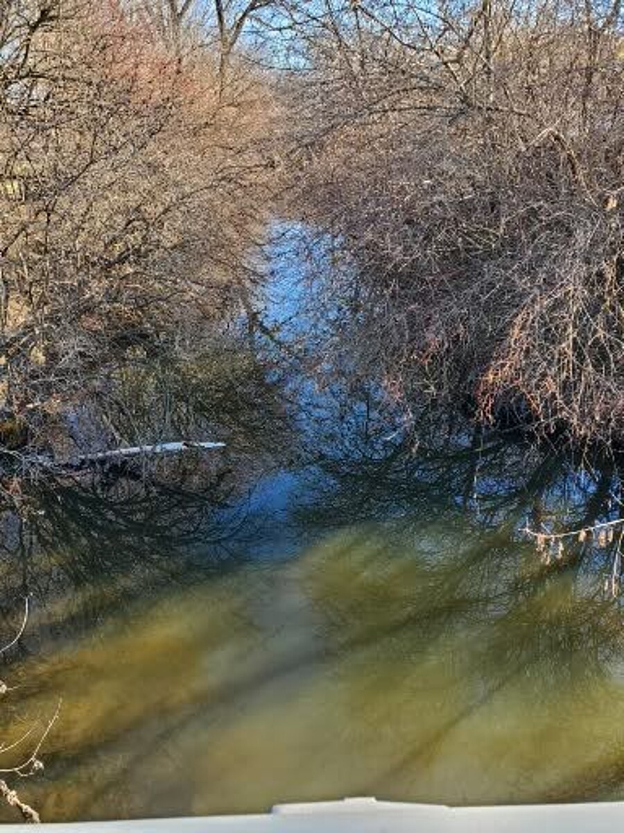 Water Quality Testing Data for Long Run Creek Homer Glen, IL, Long