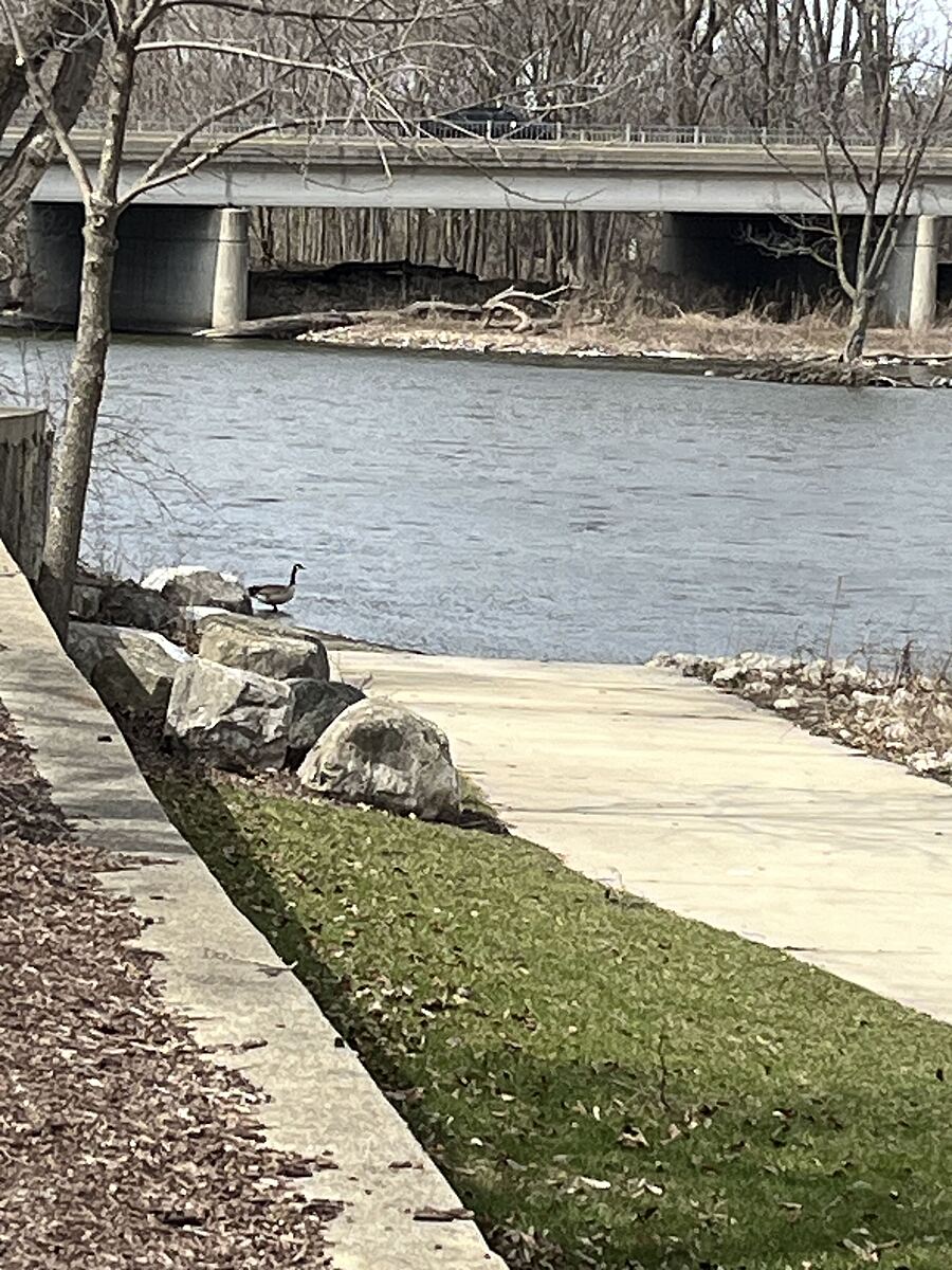 Water quality testing data for fox river yorkville il fox river
